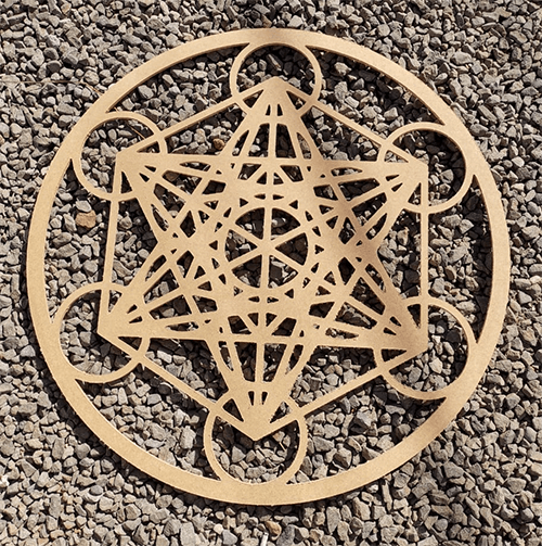 Architecture of Life