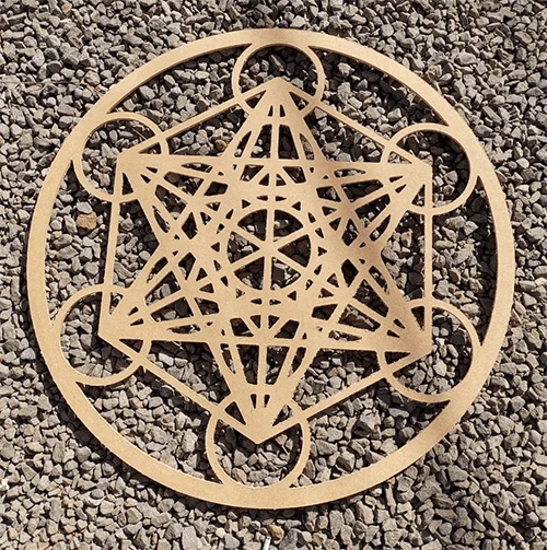 Architecture of Life